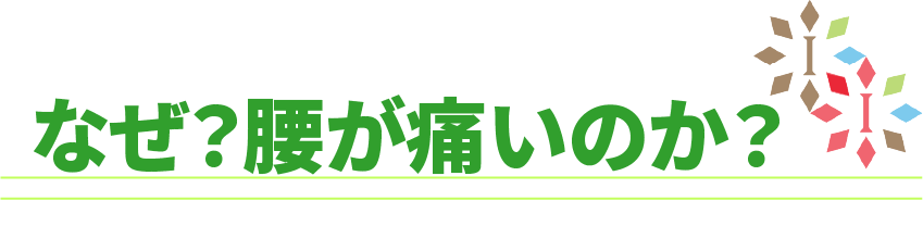 なぜ？腰が痛いのか？