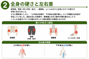 全身の硬さと左右差